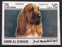 [Dogs, tegund HE]