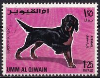 [Dogs, tegund HG]