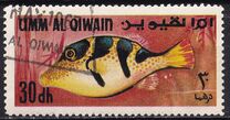[Fish of the Arabian Gulf, 유형 FW]