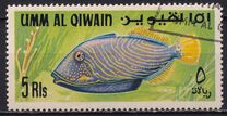 [Fish of the Arabian Gulf, Tipi GE]