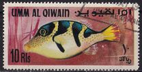 [Fish of the Arabian Gulf, Tipi GF]