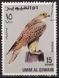 [Birds - Falcons, type HQ]