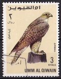 [Birds - Falcons, type HW]