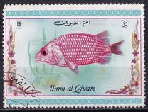 [Tropical Fish, type ACI]