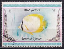 [Tropical Fish, type ACM]