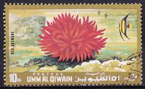 [Marine Life, type ZG]