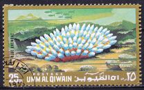 [Marine Life, type ZJ]