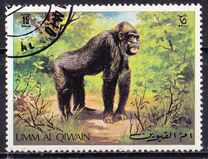 [Wild Animals, tip RL]