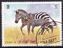 [Wild Animals, tip RM]