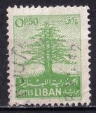 [Cedar of Lebanon,  Baalbek and Beaufort, típus XDK]