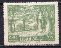 [Cedar of Lebanon, Zahle, type HV]