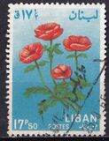 [Flowers, type KP]