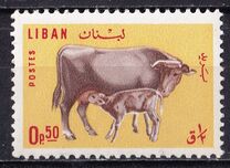 [Domestic Animals, type MI]