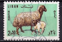 [Domestic Animals, type MK]