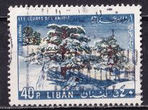 [Airmail - "Cedars of Friendship", Tipi ML]