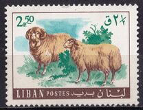 [Fauna - Domestic Animals, 유형 OX]