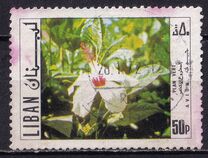 [Airmail - Progress, Tipi SH]