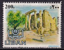 [Ancient Ruins, տեսակ YV]