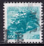 [Cedar Trees, タイプ ABK1]