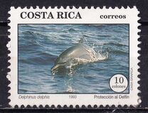 [Dolphins, type ALL]
