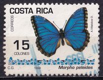 [Butterflies, type AOJ]