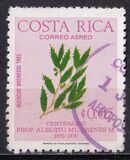 [The 100th Anniversary of the Birth of Professor A. M. Brenes Mora - Botanist, type VH]