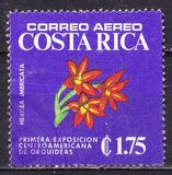 [Airmail - The 1st Central American Orchids Exhibition, 類型 UJ]