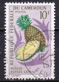 [Fruits, Вид HH]