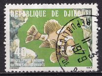 [Fish, tip AO]