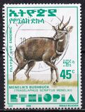 [Menelik´s Bushbuck, typ AZF8]