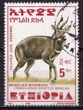 [Menelik´s Bushbuck, typ AZF21]