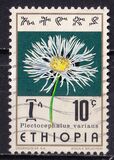 [Ethiopian Flowers, type AAE]