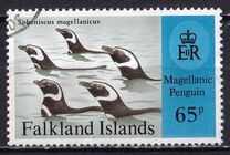 [Magellanic Penguins, tip WP]