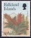 [Ferns, τύπος WT]