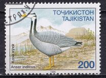 [Endangered Bird Specied in Tajikistan, タイプ BW]