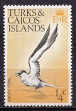 [Birds, type EF]