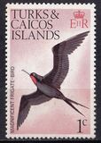 [Birds, type EG]