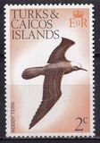 [Birds, type EH]