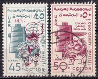 [Cotton Festival - Aleppo, ประเภท AR]