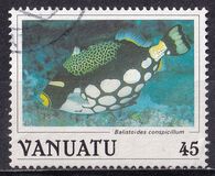 [Fish, typ GC]