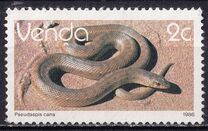 [Reptiles, type DQ]