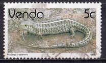 [Reptiles, type DT]