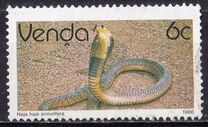 [Reptiles, type DU]