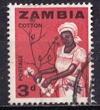 [Local Motifs, type D]