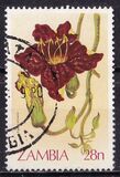 [Flowers, نوع JF]