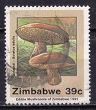 [Edible Mushrooms, тип IN]