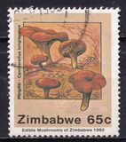 [Edible Mushrooms, тип IQ]
