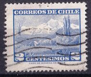 [Local Motives, Tip NP]