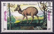 [Siberian Musk Deer, type BWF]