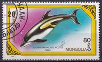 [Whales and Dolphins, 類型 BWU]